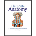 Anatomy  A Regional Atlas of the Human Body / With CD ROM