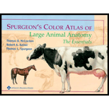 Spurgeons Color Atlas of Large Animal Anatomy  The Essentials