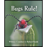 Bugs Rule  An Introduction to the World of Insects