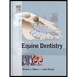 Equine Dentistry