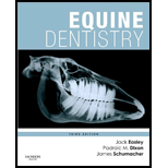 Equine Dentistry   With DVD