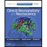 clinical neuroanatomy made ridiculously simple 6th edition