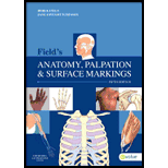 Anatomy Palpation and Surface Markings