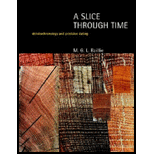 Slice Through Time