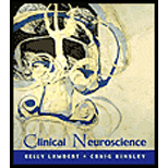 Clinical Neuroscience