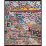 Human Mosaic   With Atlas