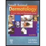 Small Animal Dermatology