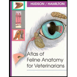 Atlas of Feline Anatomy for Veterinarians