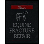 Equine Fracture Repair