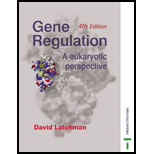 Gene Regulation  A Eukaryotic Perspective