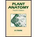 Plant Anatomy