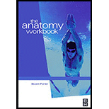 Anatomy and Human Movement Workbooks