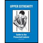 Upper Extremity