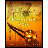 How the Human Genome Works