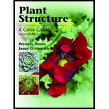 Plant Structure