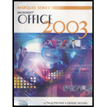 Microsoft Office 2003  Spec. Marquee   With Snap