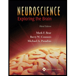 Neuroscience  Exploring the Brain   With CD