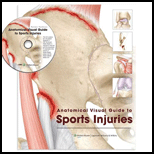 Anatomical Visual Guide to Sports Injuries