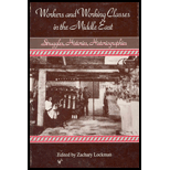 Workers and Working Classes in Middle East  Struggles, Histories, Historiographies