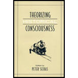 Theorizing Historical Consciousness