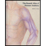 Bassett Atlas of Human Anatomy