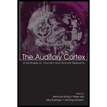 Auditory Cortex A Synthesis of Human and Animal Research