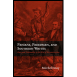 Fenians, Freedmen, and Southern Whites