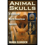 Animal Skulls