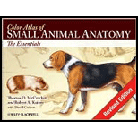 Color Atlas of Small Animal Anatomy