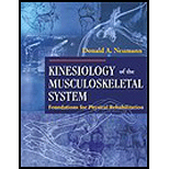 Kinesiology of the Musculoskeletal System  Foundations for Physical Rehabilitation