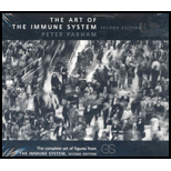 Art of Immune System  CD (Software)