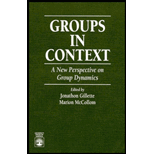 Groups in Context  A New Perspective on Group Dymanics