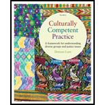 Culturally Competent Practice A Framework for Understanding