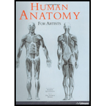 Human Anatomy for Artists