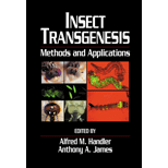 Insect Transgenesis Methods and Application