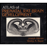 Atlas of Prenatal Rat Brain Development