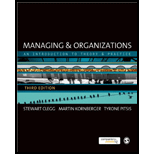 Managing and Organizations An Introduction to Theory and Practice