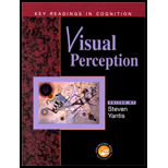 Visual Perception