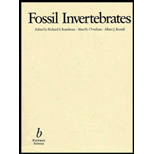 Fossil Invertebrates