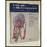 Color Atlas of Microneurosurgery, Volume 3