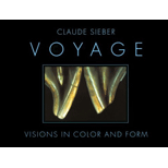 Voyage  Visions in Color and Form