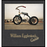 William Egglestons Guide