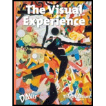 Visual Experience (High School)