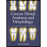 Concise Dental Anatomy and Morphology