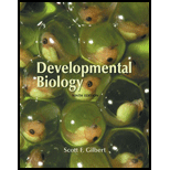 Developmental Biology (Looseleaf)