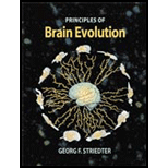 Principles of Brain Evolution