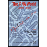 Rna World