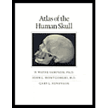 Atlas of the Human Skull