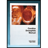 Carolina Drosophila Manual