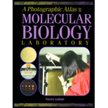 Photographic Atlas for the Molecular Biology Laboratory